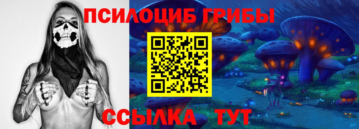 Нижний Новгород  Галлюциногенные грибы Cubensis  Псилоцибиновые грибы мицелий  Вход с VPN 